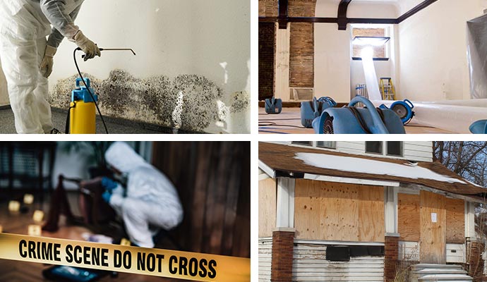 Collage of Mold, Water Damage, Biohazard Cleanup & Board-Up Services