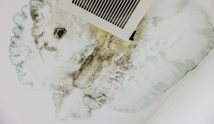 Structural Mold Remediation in Morgantown & Bridgeport, WV