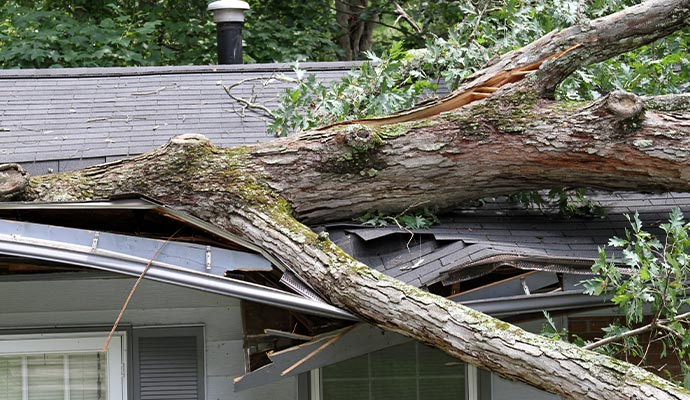 A tree fell during a heavy storm and caused roof damage.