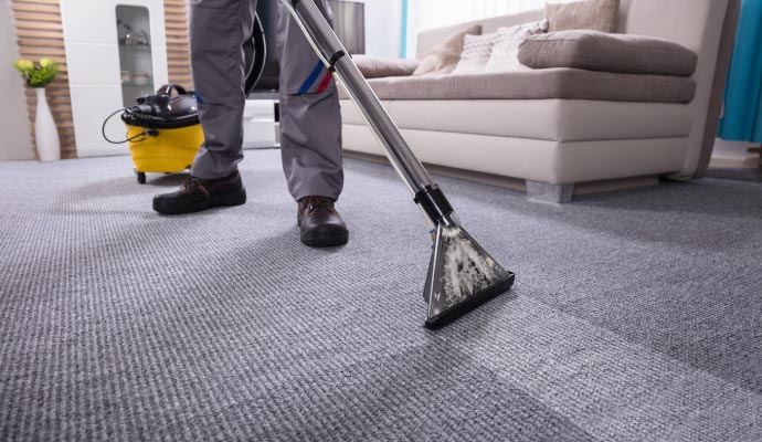 Professional carpet cleaning service