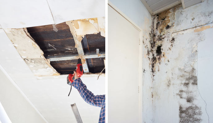 Collage of structural damage and mold growth