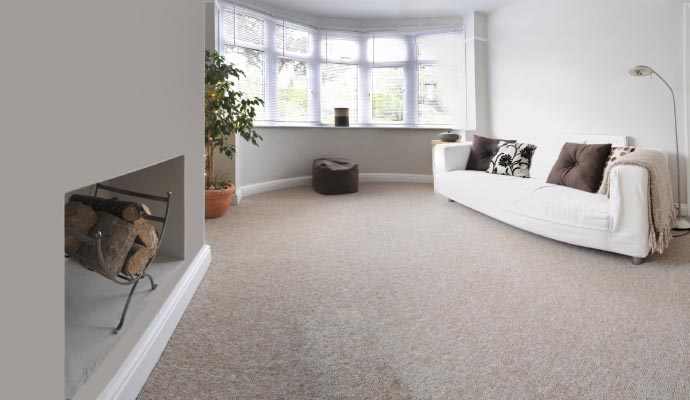 Carpet Water Damage Restoration in Morgantown
