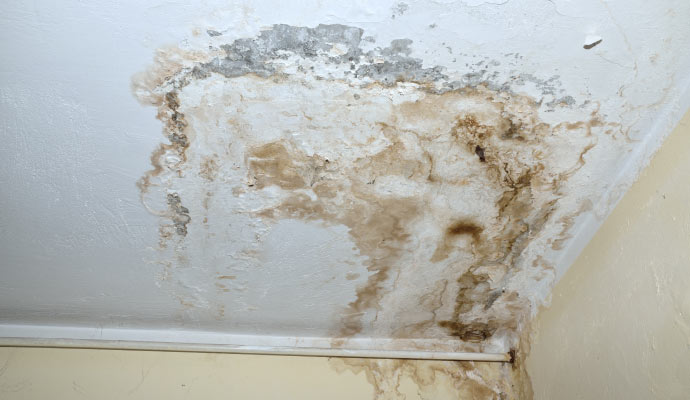 A ceiling with extensive water damage