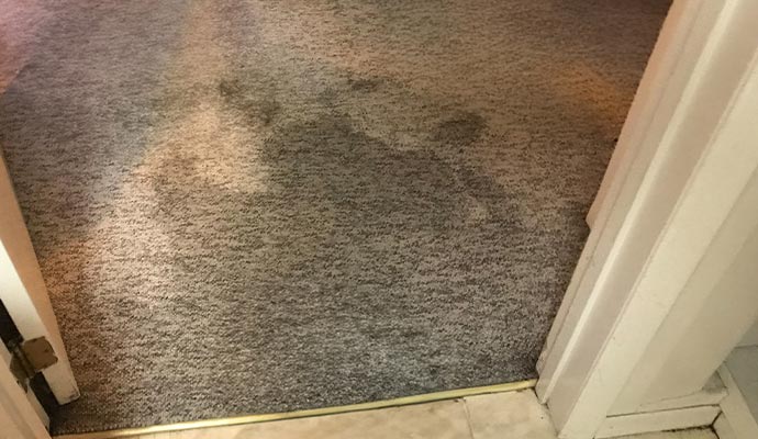 Water stained carpet