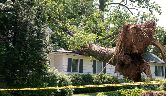 Wind damage property